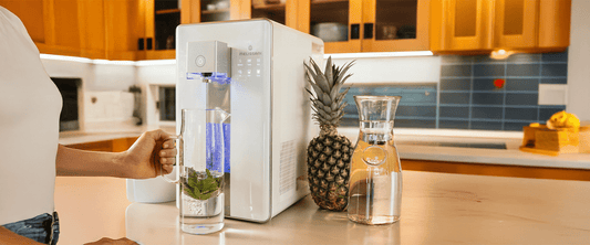 How to Maintain Your M1 Water Purifier: Tips for Long-Lasting Clean Water