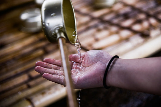 RO Water Purifier Which Is The Best For Your Home